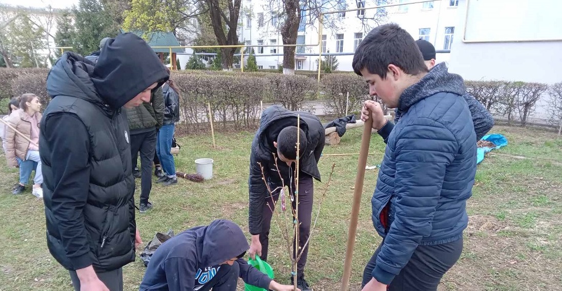 Весняна толока у коледжі